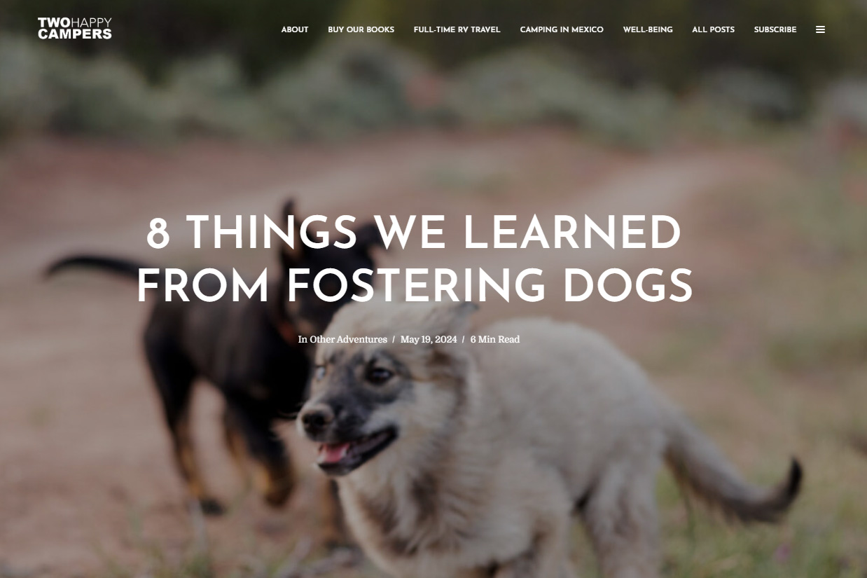 Foster article