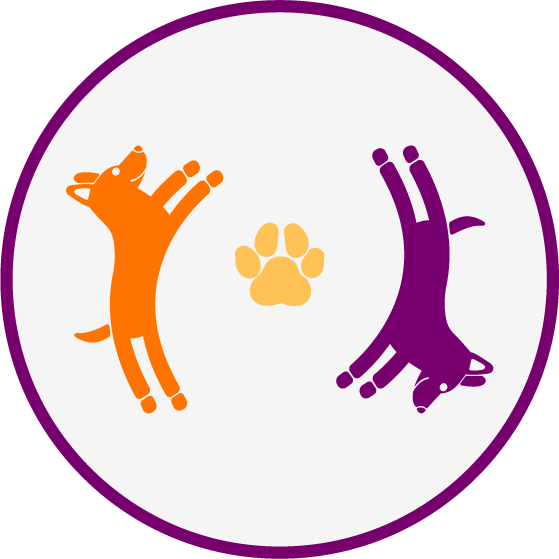 adoption events