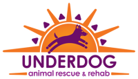 Ramblebine Brewing Co. Adoption Event!